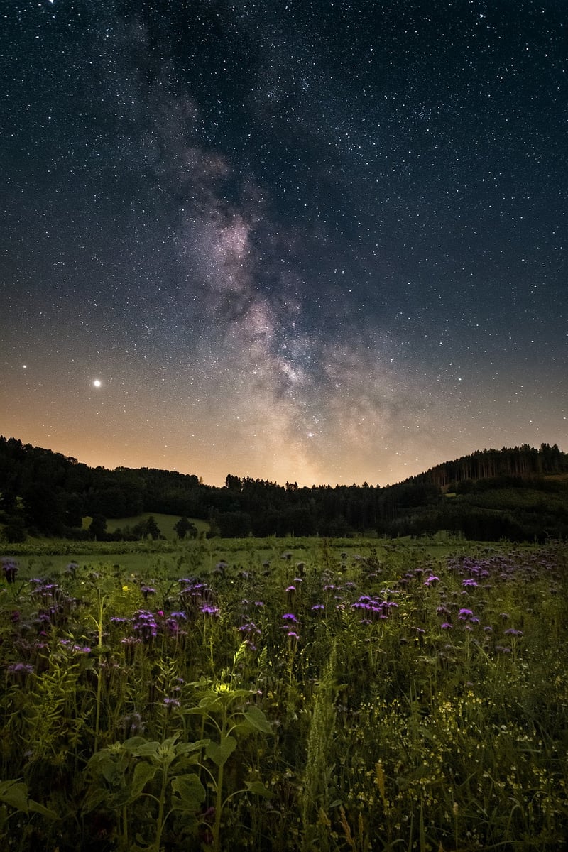 Galactic Harmonies